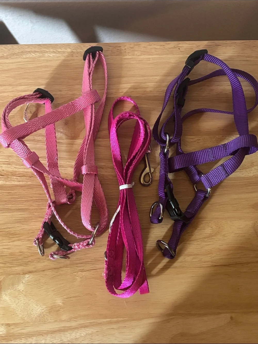 Set of 2 Small Dog Harness’s and Pink Leash